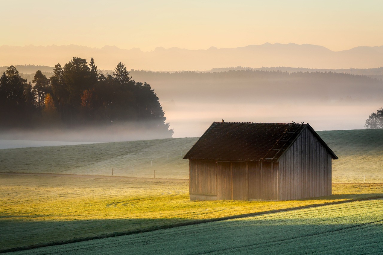 ​Respect de l&apos;environnement